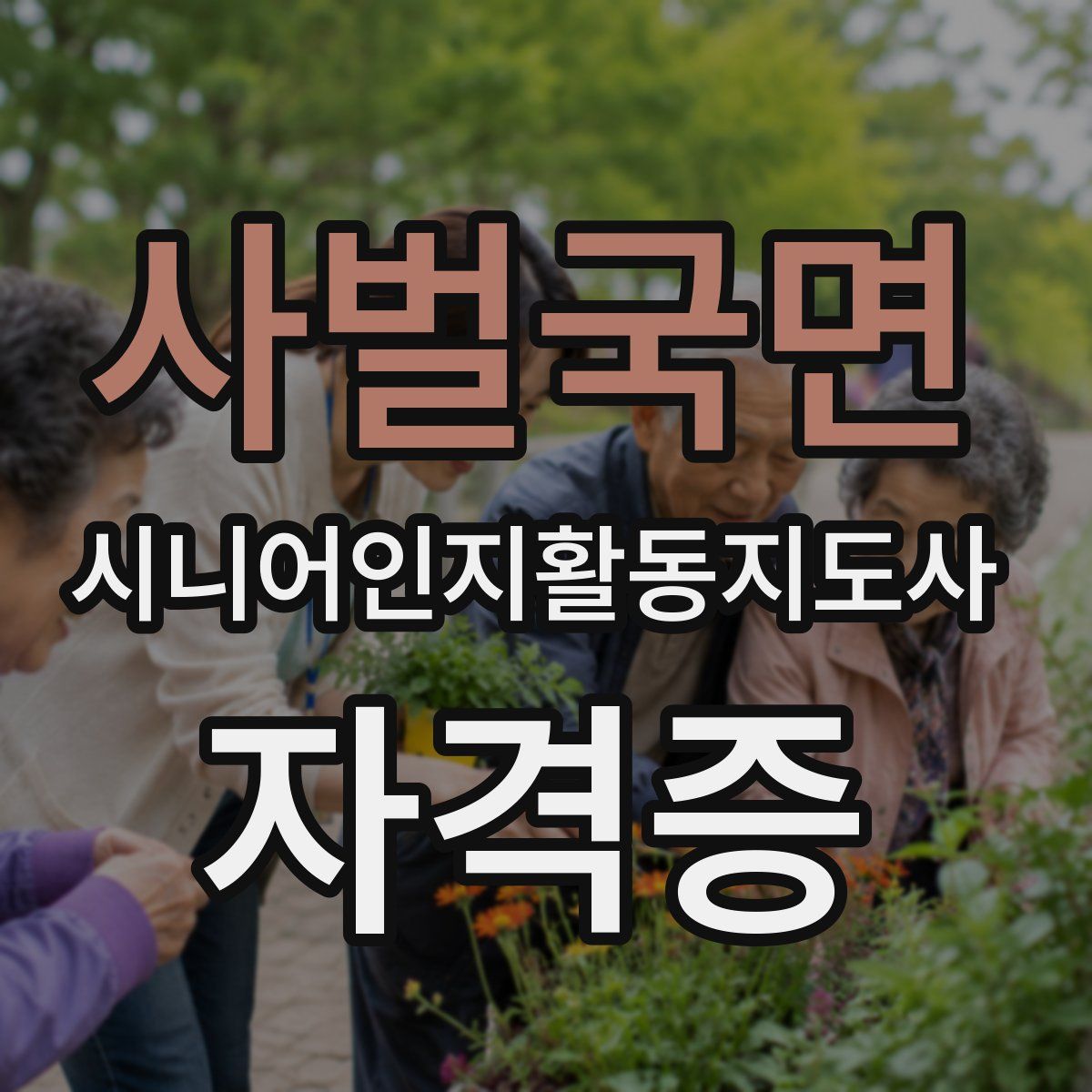 사벌국면 시니어인지활동지도사 자격증
