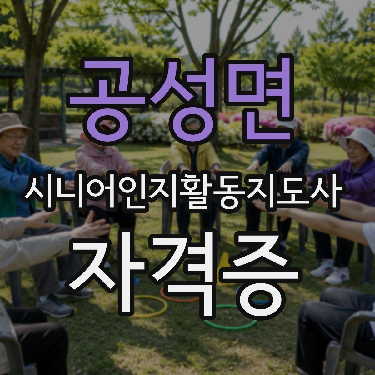 공성면 시니어인지활동지도사 자격증 취득 순서를 한눈에 정리