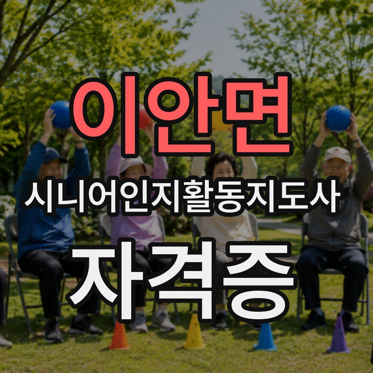 이안면 시니어인지활동지도사 자격증
