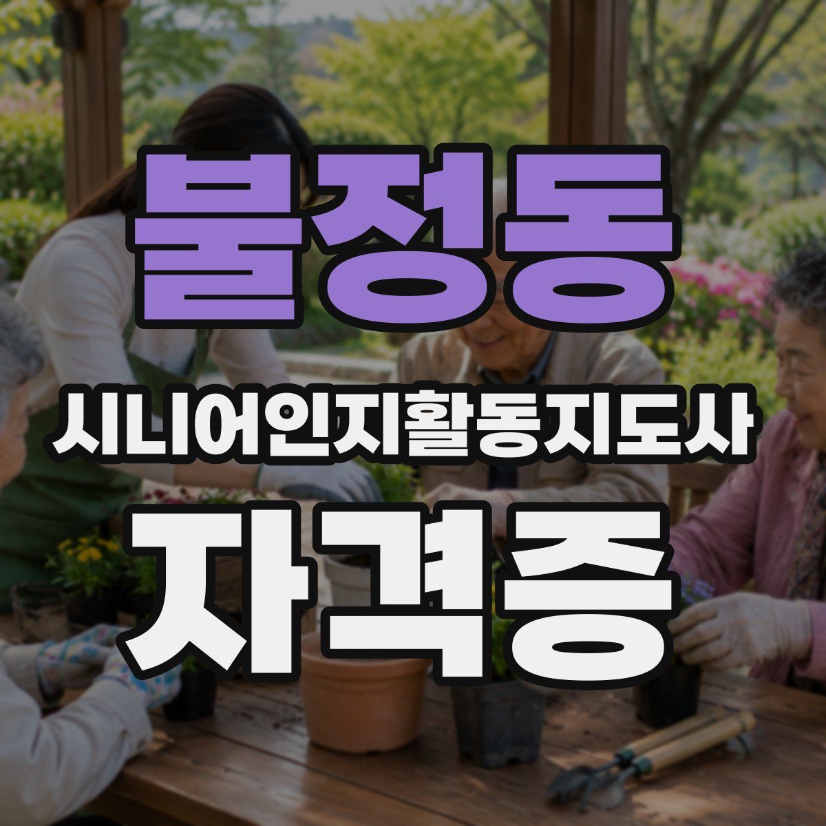 불정동 시니어인지활동지도사 자격증