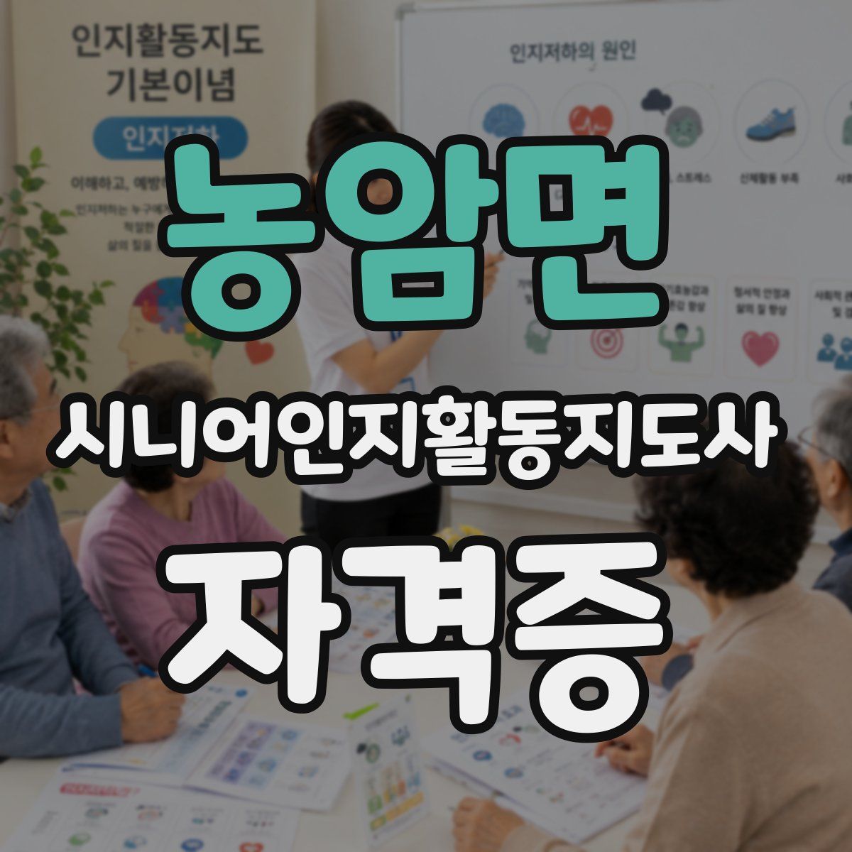 농암면 시니어인지활동지도사 자격증