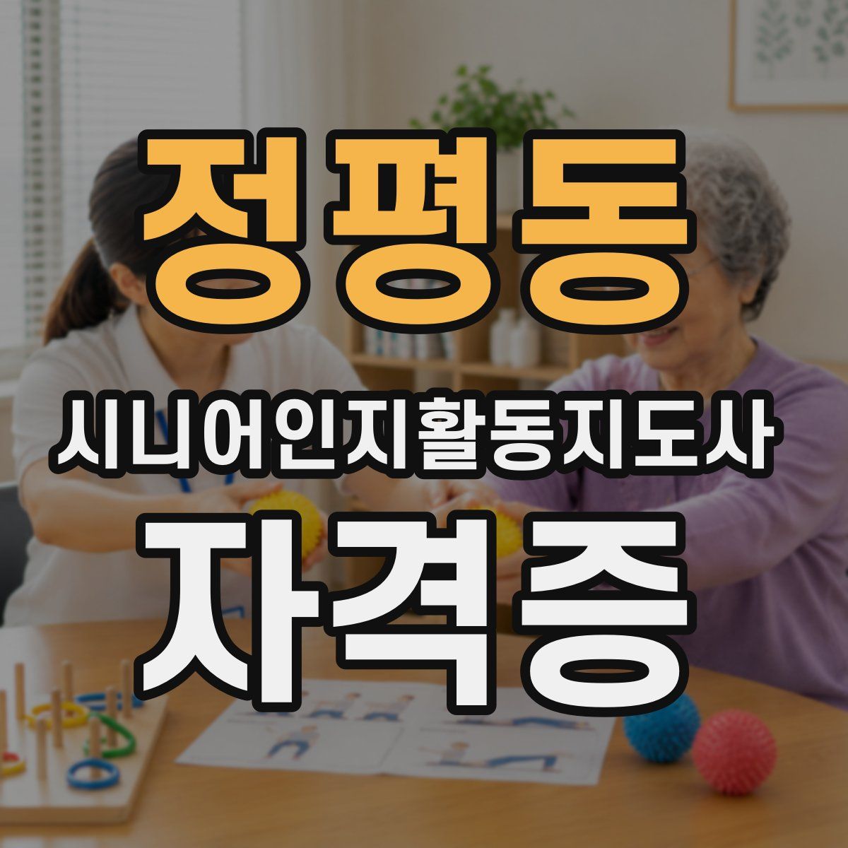 정평동 시니어인지활동지도사 자격증