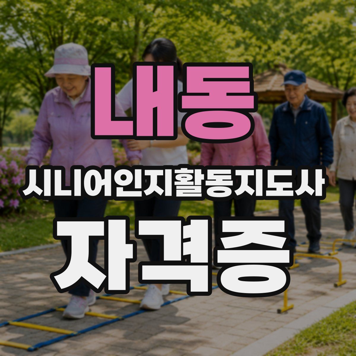 내동 시니어인지활동지도사 자격증