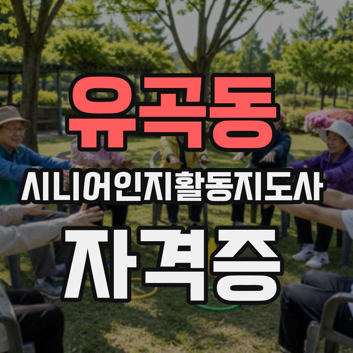 유곡동 시니어인지활동지도사 자격증