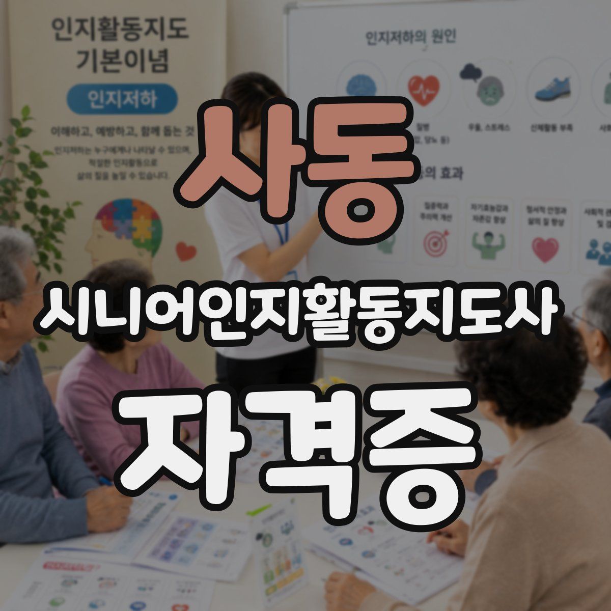사동 시니어인지활동지도사 자격증