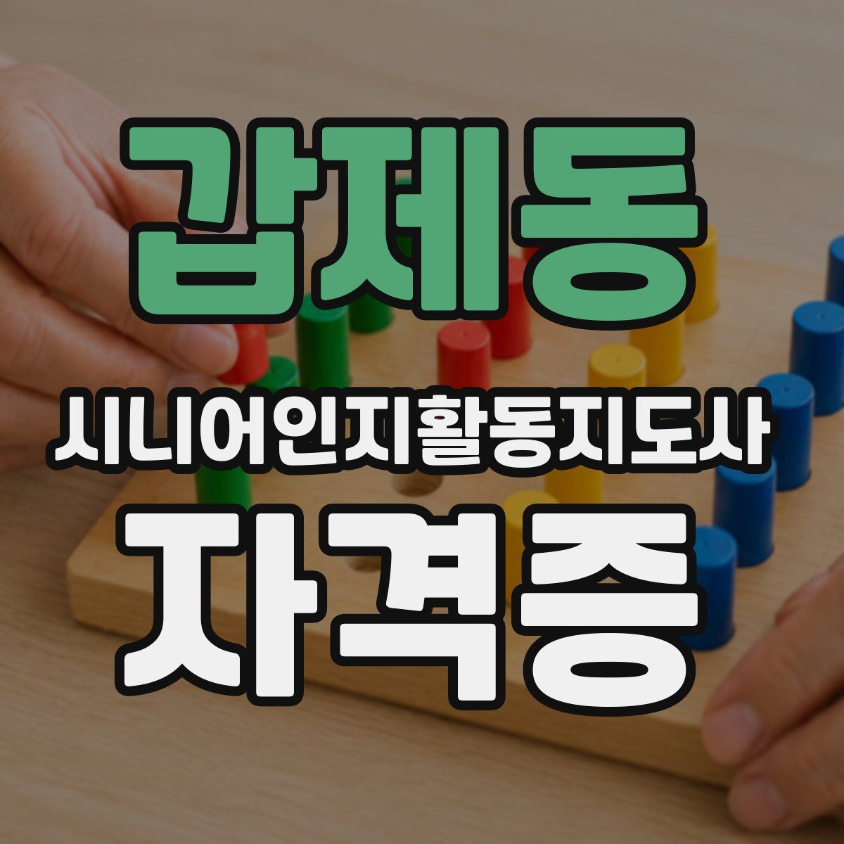 갑제동 시니어인지활동지도사 자격증