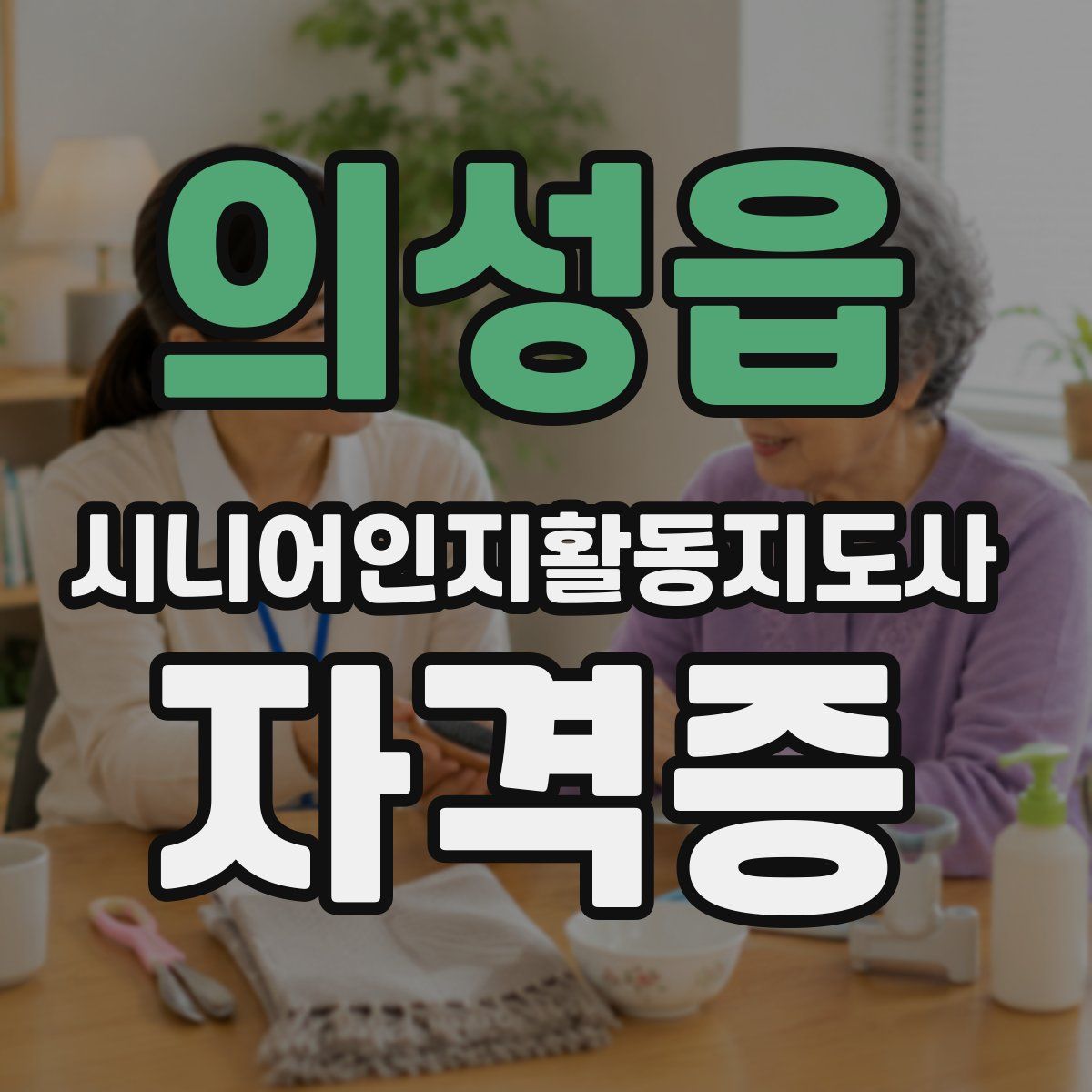 의성읍 시니어인지활동지도사 자격증