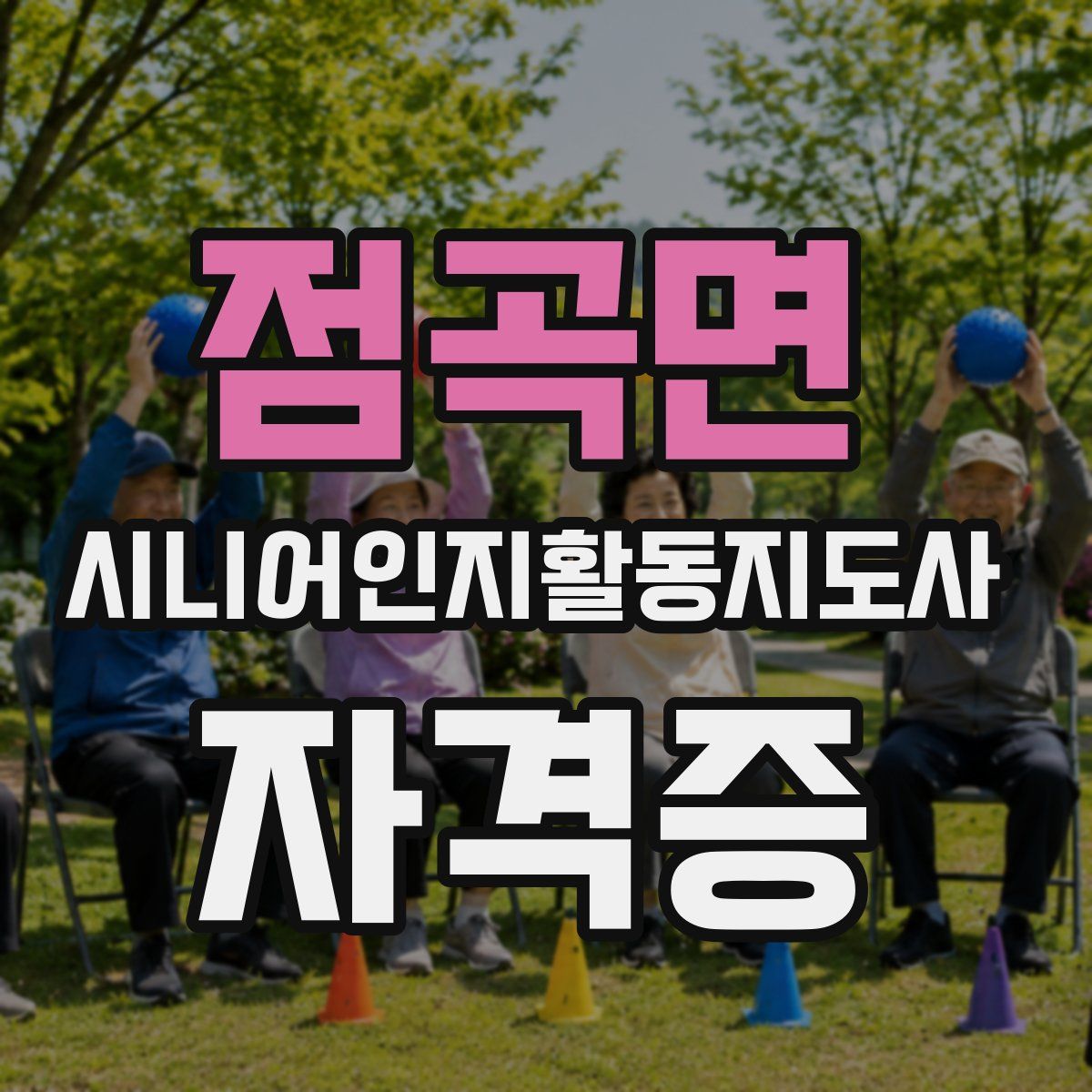 점곡면 시니어인지활동지도사 자격증