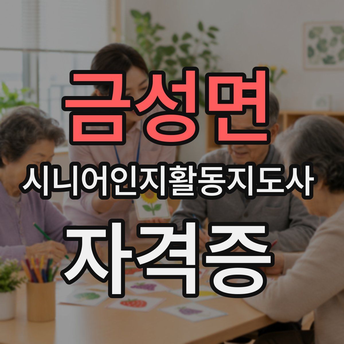 금성면 시니어인지활동지도사 자격증