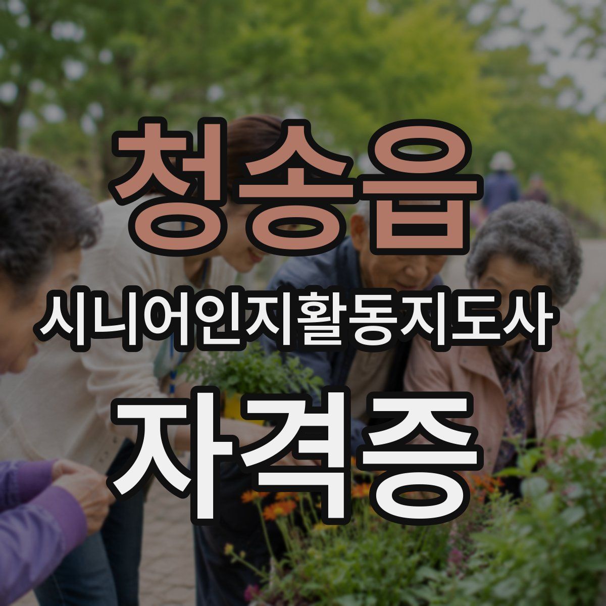 청송읍 시니어인지활동지도사 자격증