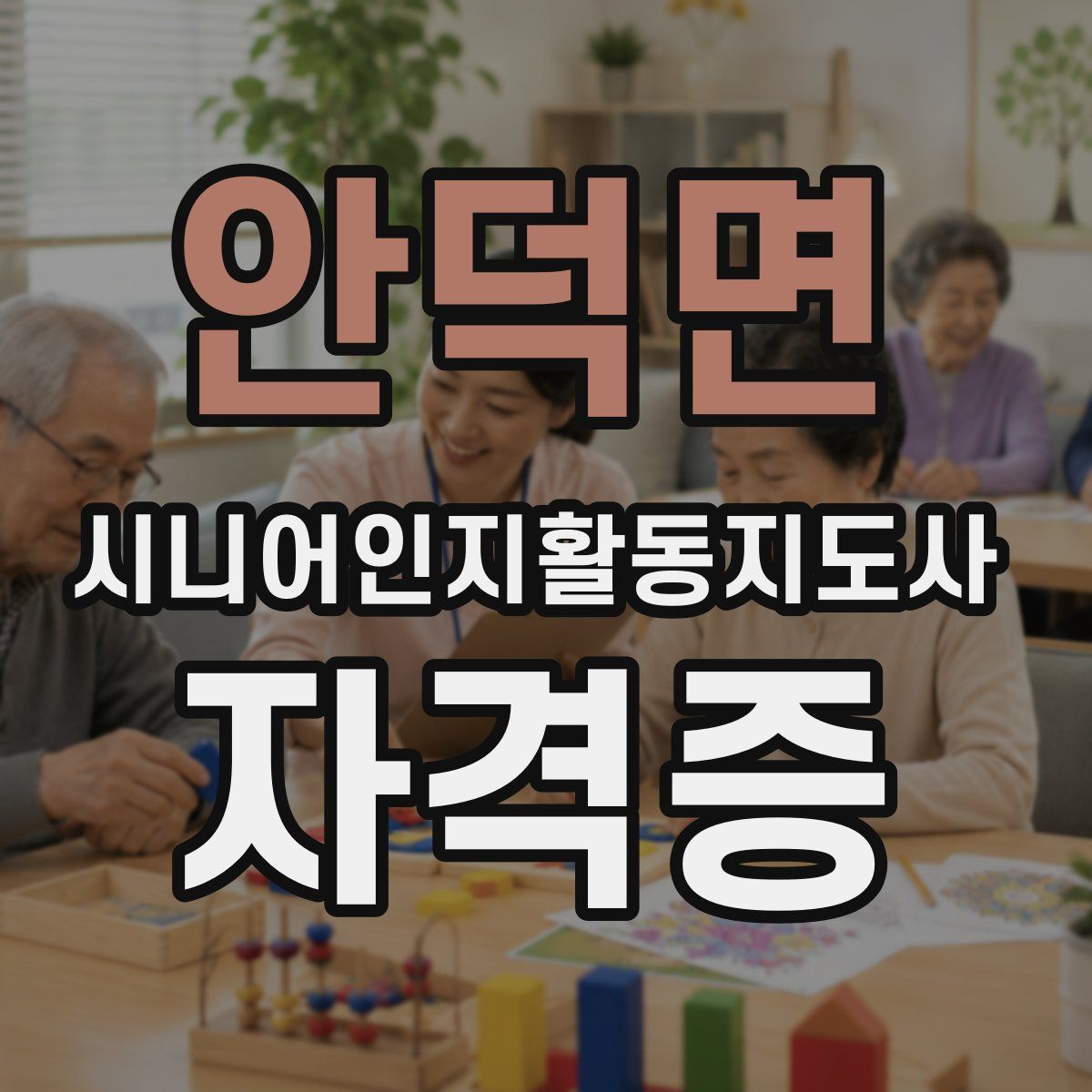 안덕면 시니어인지활동지도사 자격증