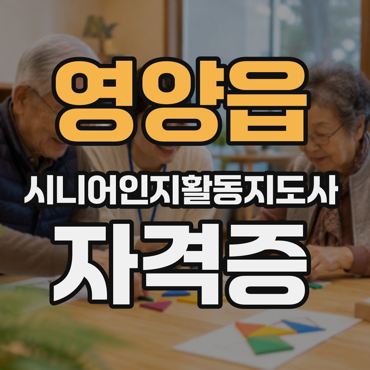 영양읍 시니어인지활동지도사 자격증