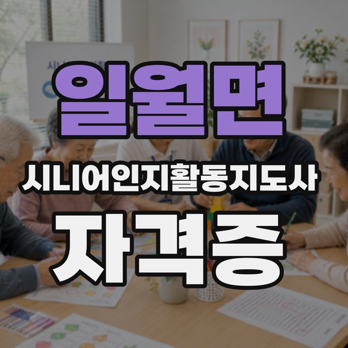 일월면 시니어인지활동지도사 자격증