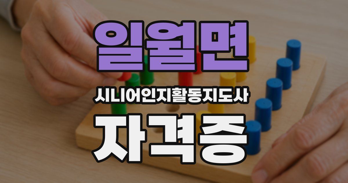 일월면 시니어인지활동지도사 자격증