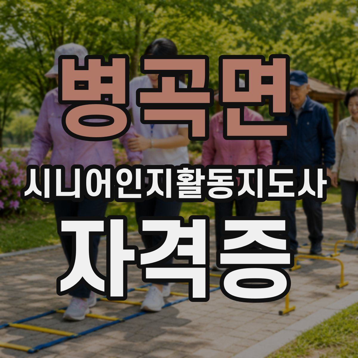 병곡면 시니어인지활동지도사 자격증