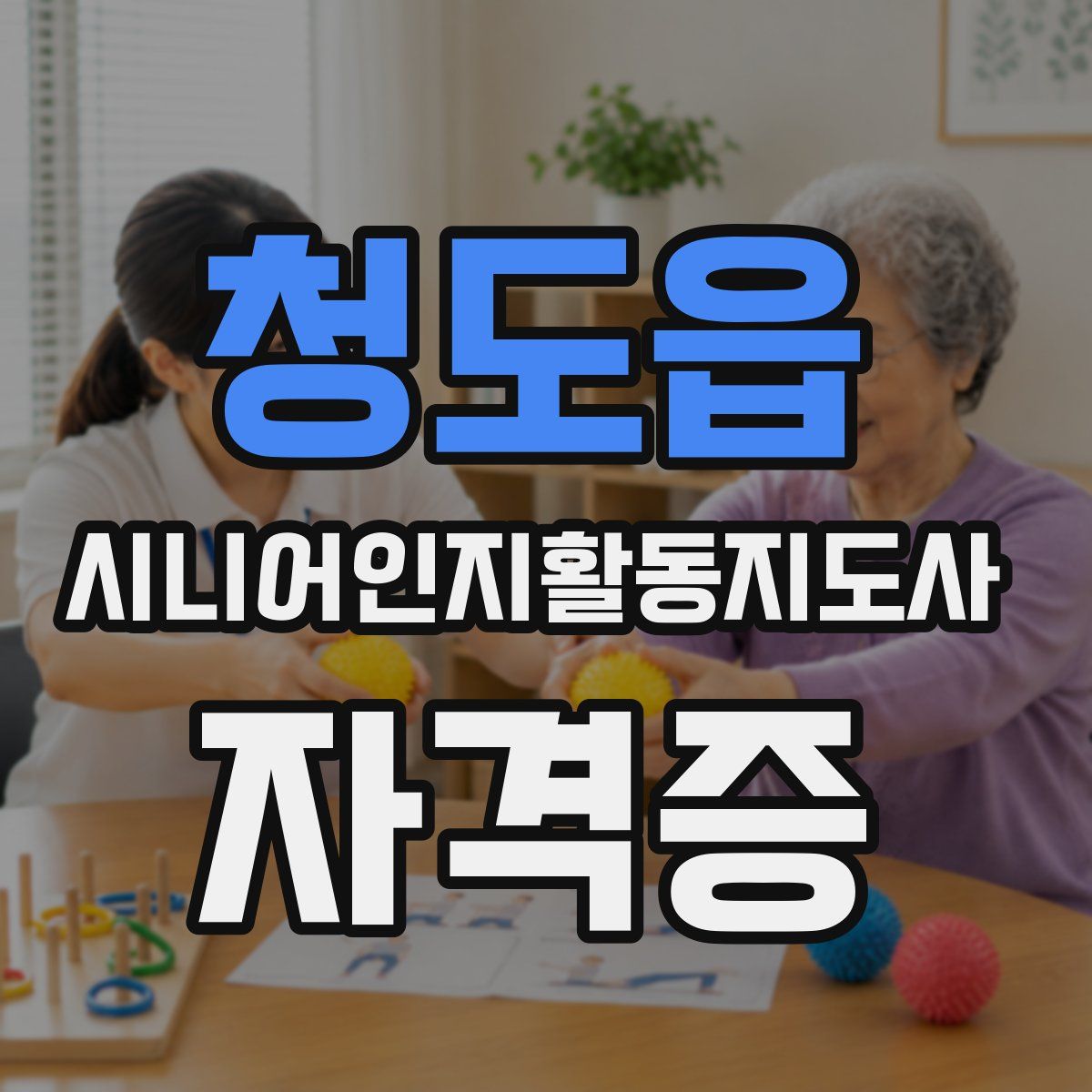 청도읍 시니어인지활동지도사 자격증