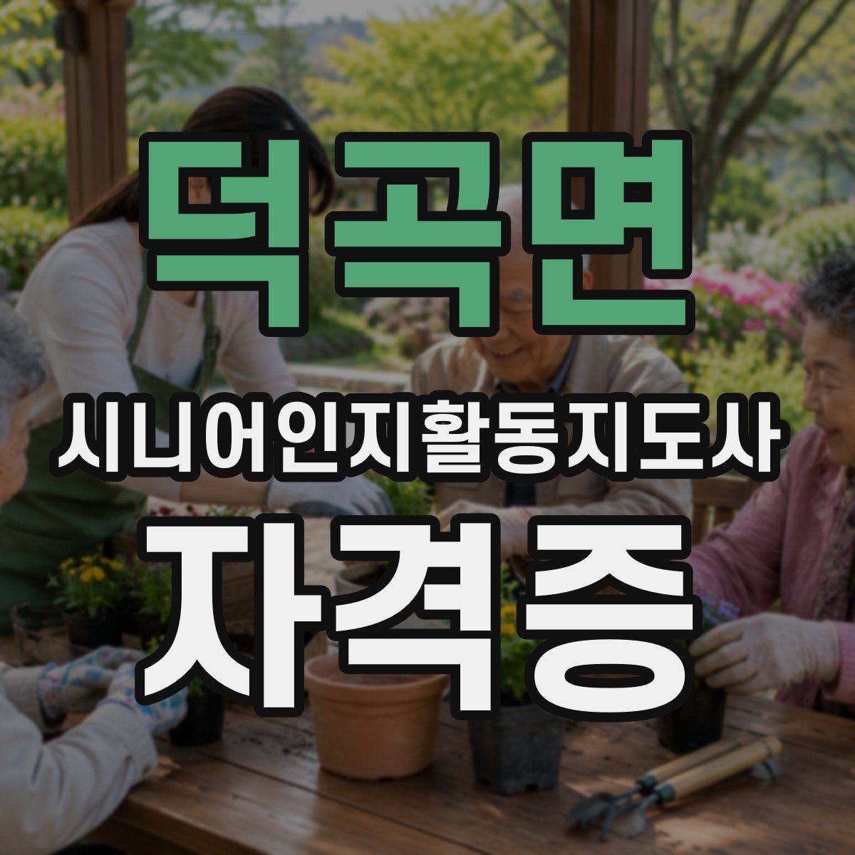 덕곡면 시니어인지활동지도사 자격증