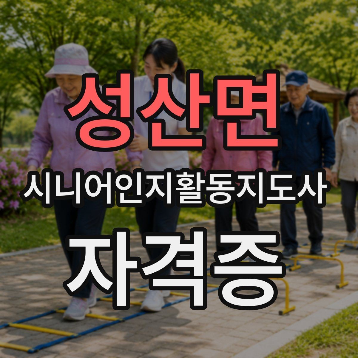 성산면 시니어인지활동지도사 자격증 수요가 늘어나는 이유