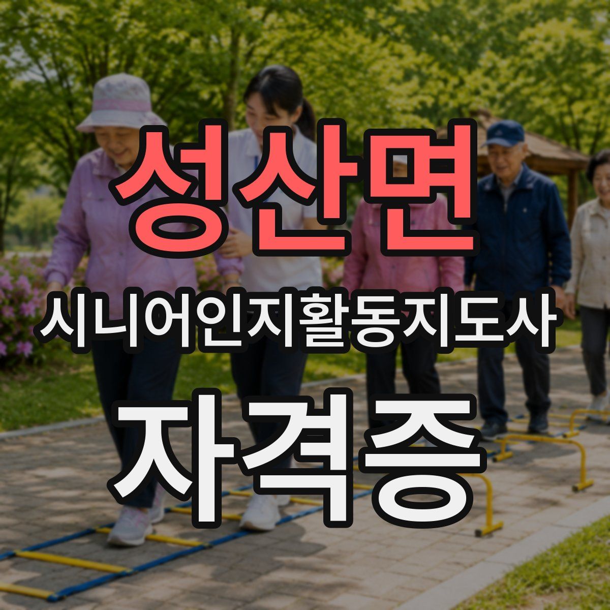 성산면 시니어인지활동지도사 자격증