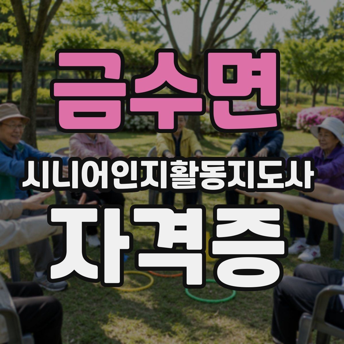 금수면 시니어인지활동지도사 자격증 취득 후 활동 가능한 곳