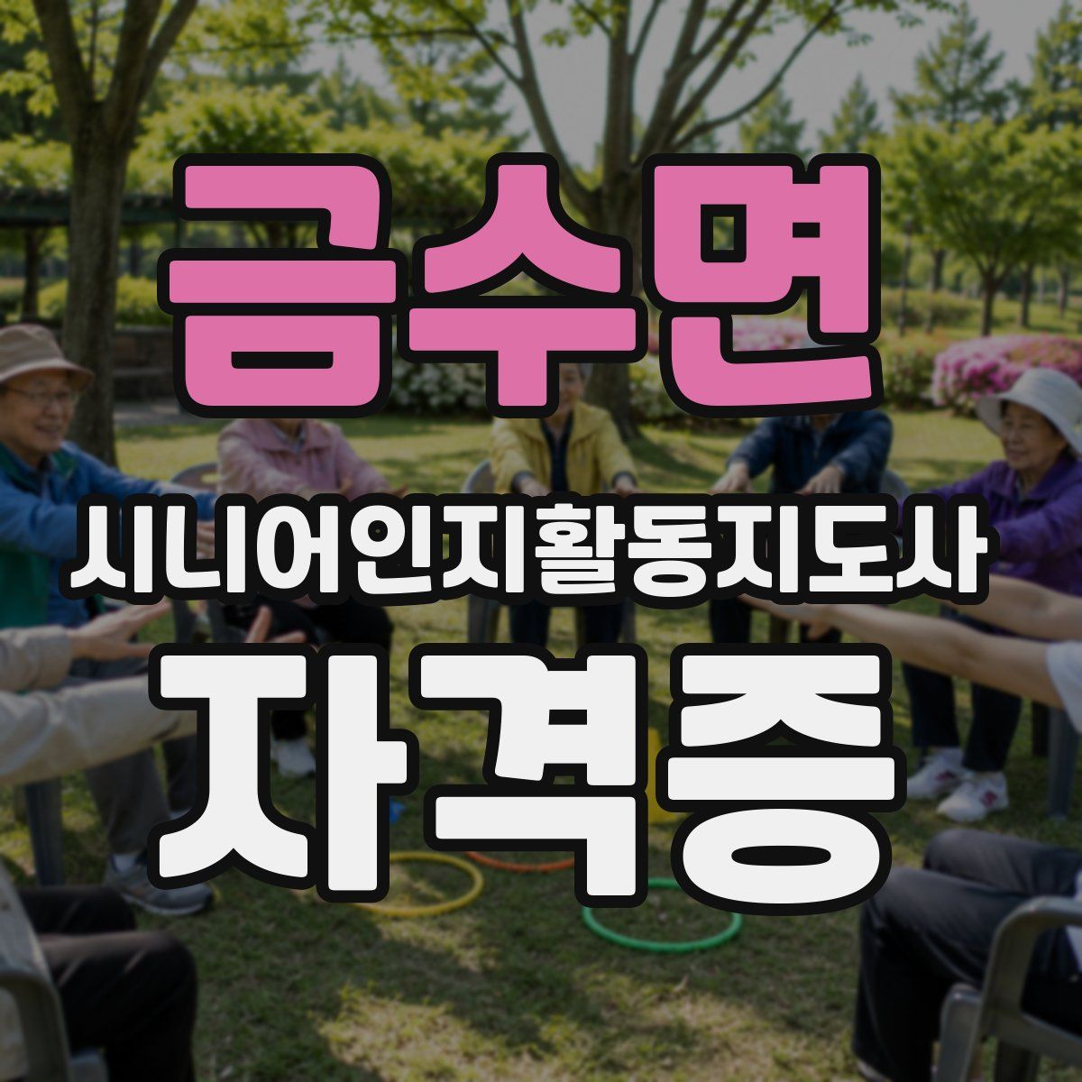 금수면 시니어인지활동지도사 자격증