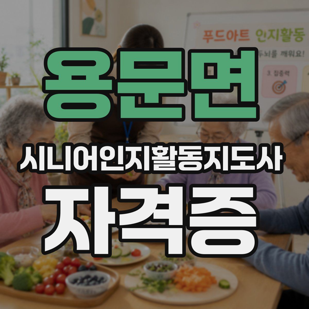 용문면 시니어인지활동지도사 자격증