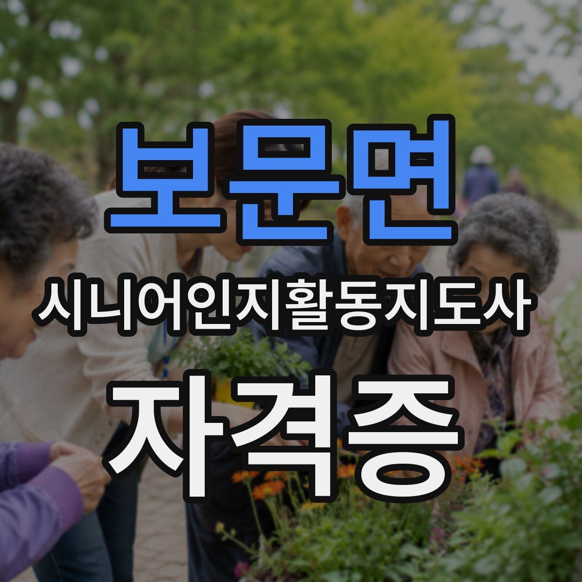 보문면 시니어인지활동지도사 자격증