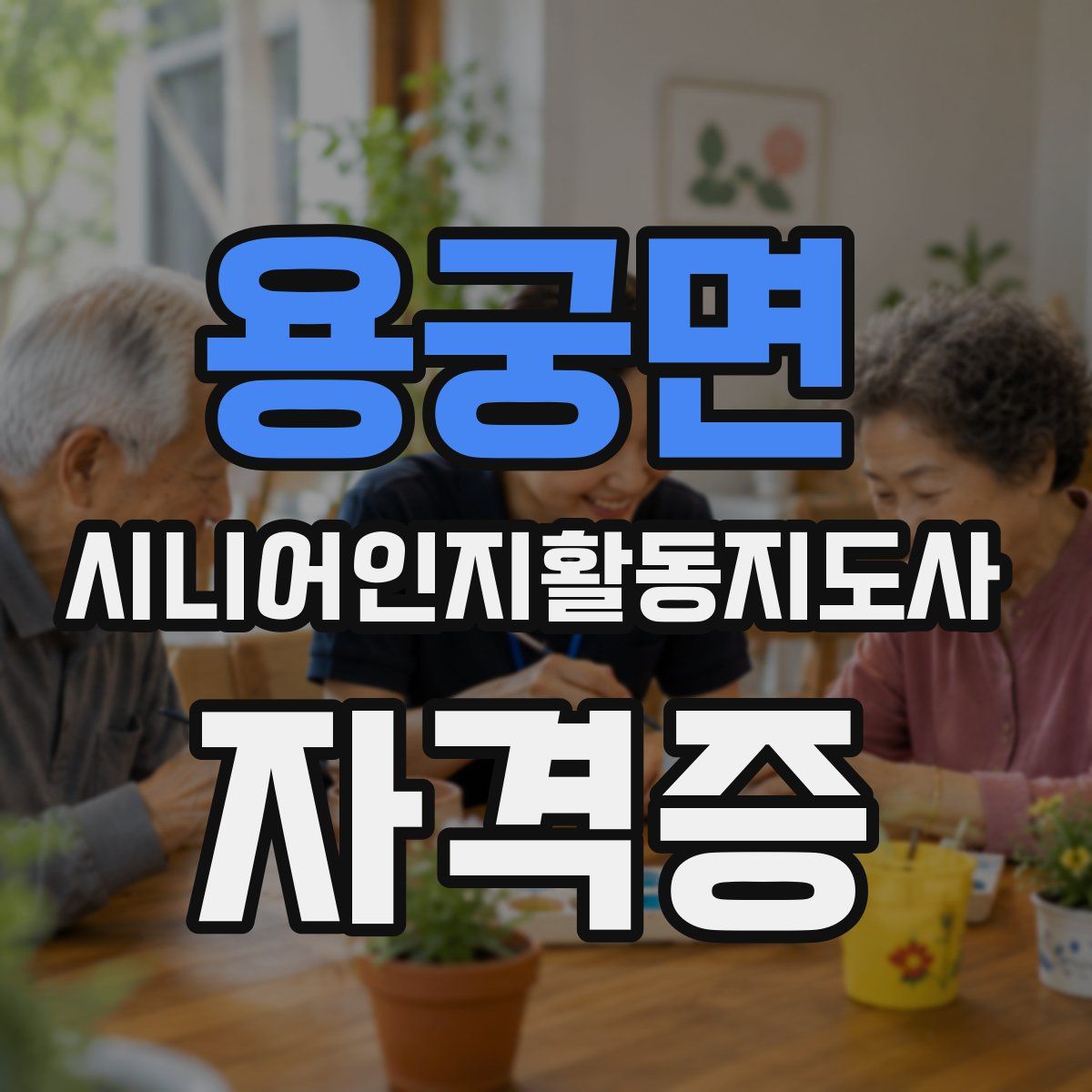 용궁면 시니어인지활동지도사 자격증