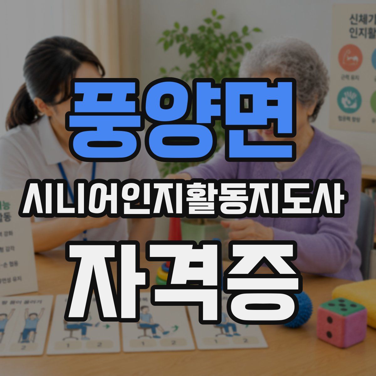 풍양면 시니어인지활동지도사 자격증