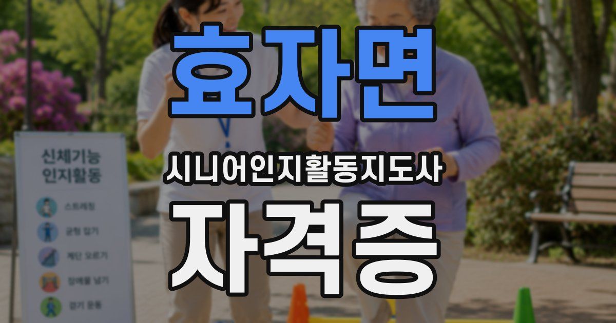 효자면 시니어인지활동지도사 자격증