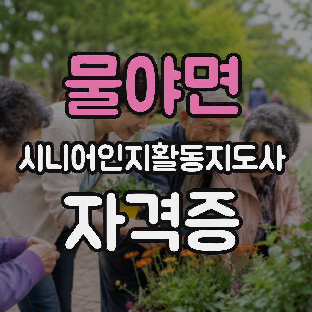 물야면 시니어인지활동지도사 자격증