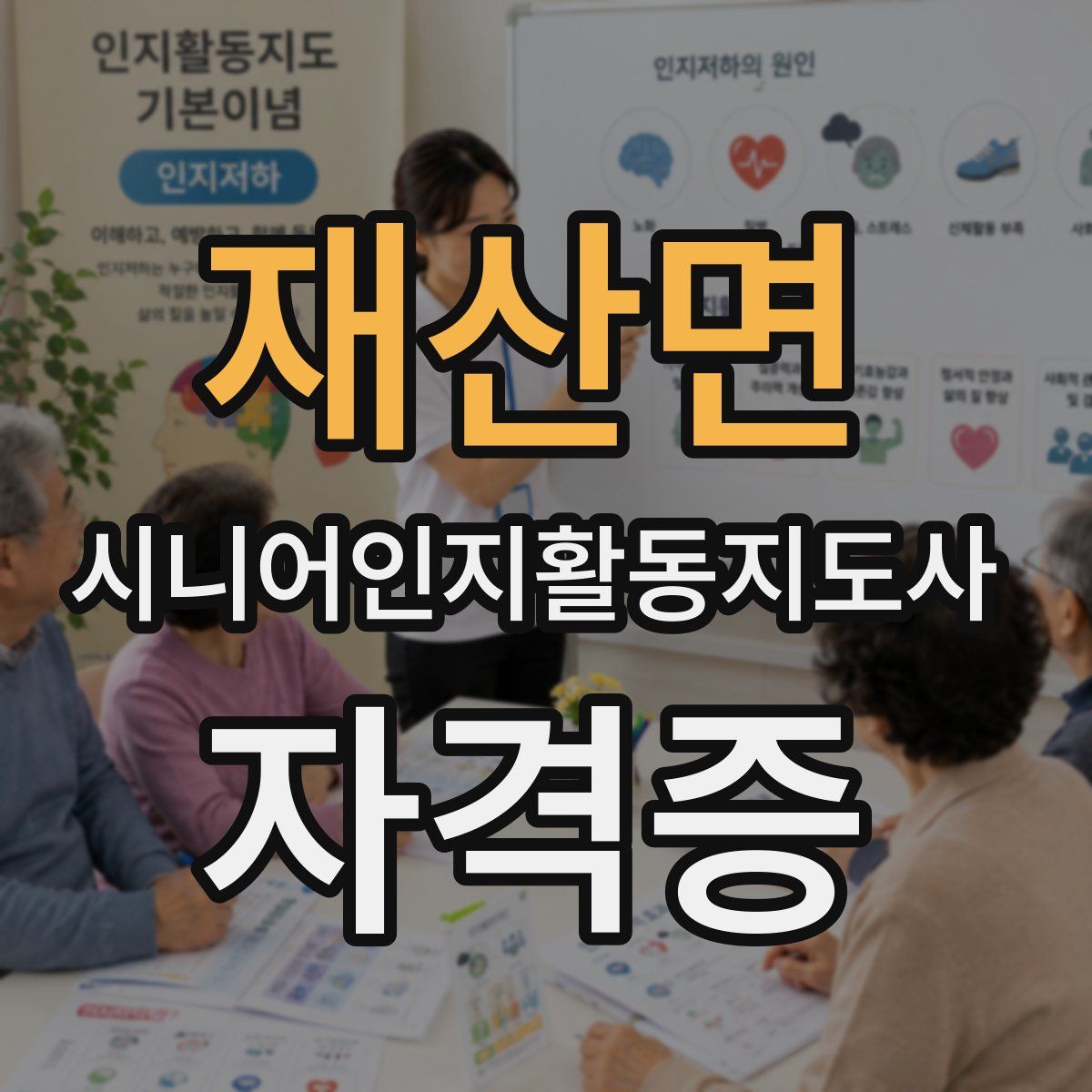 재산면 시니어인지활동지도사 자격증