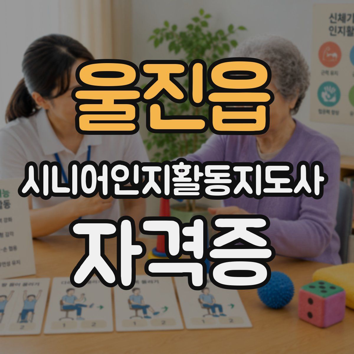 울진읍 시니어인지활동지도사 자격증