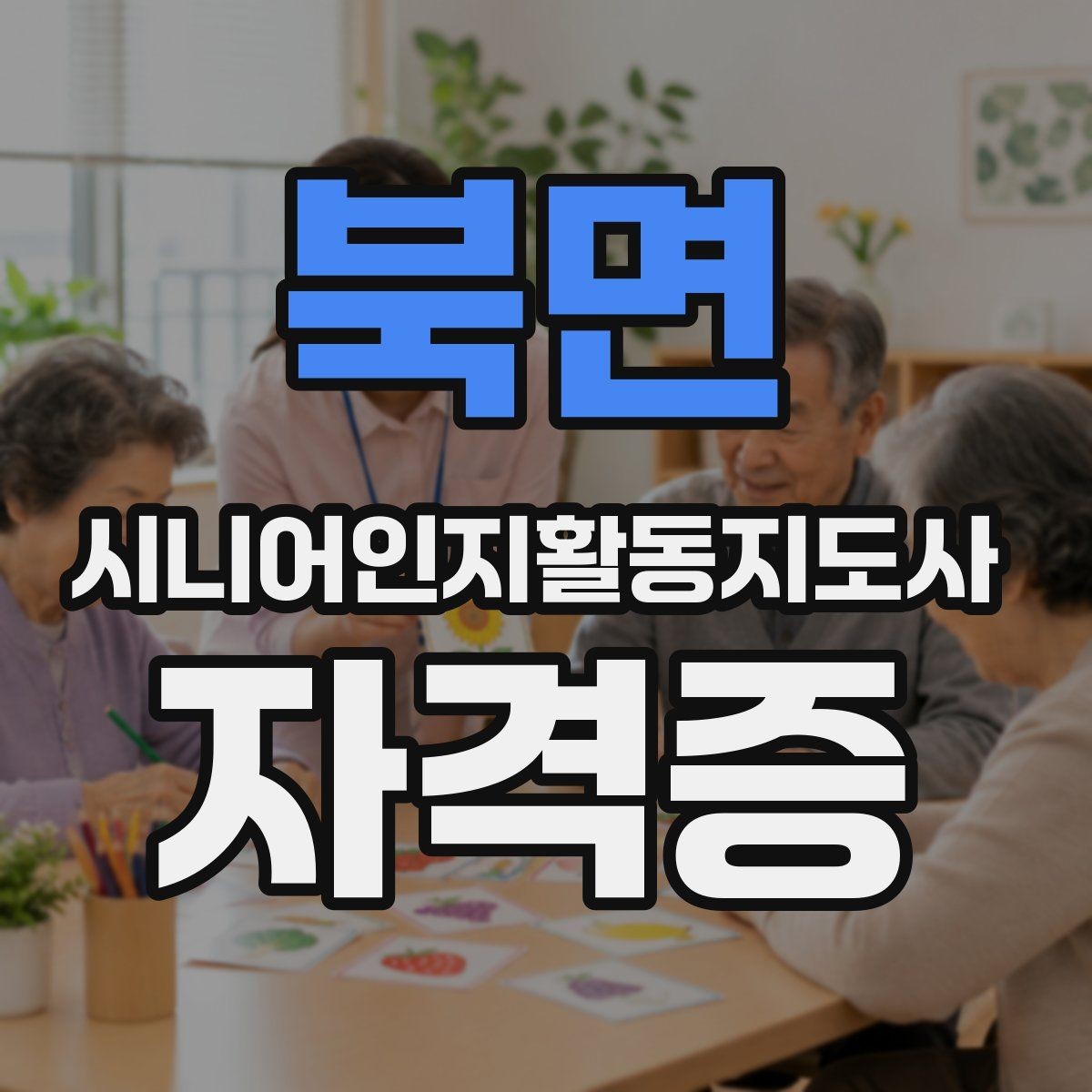 북면 시니어인지활동지도사 자격증 시작 전 궁금한 점 모아보기