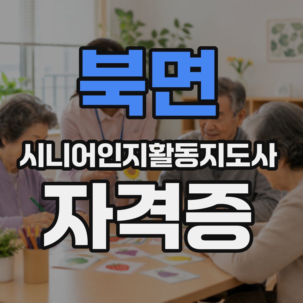 북면 시니어인지활동지도사 자격증