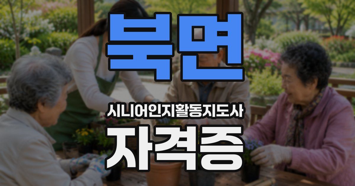 북면 시니어인지활동지도사 자격증