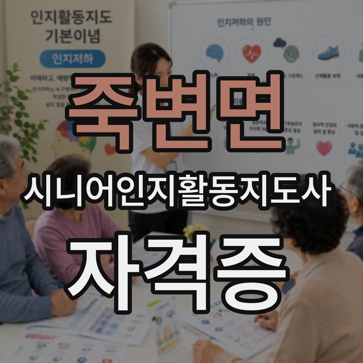 죽변면 시니어인지활동지도사 자격증 공부가 처음인 분을 위한 안내