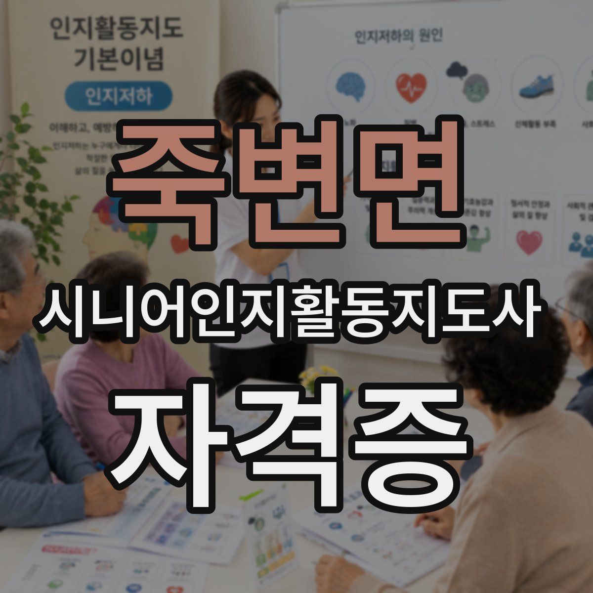 죽변면 시니어인지활동지도사 자격증
