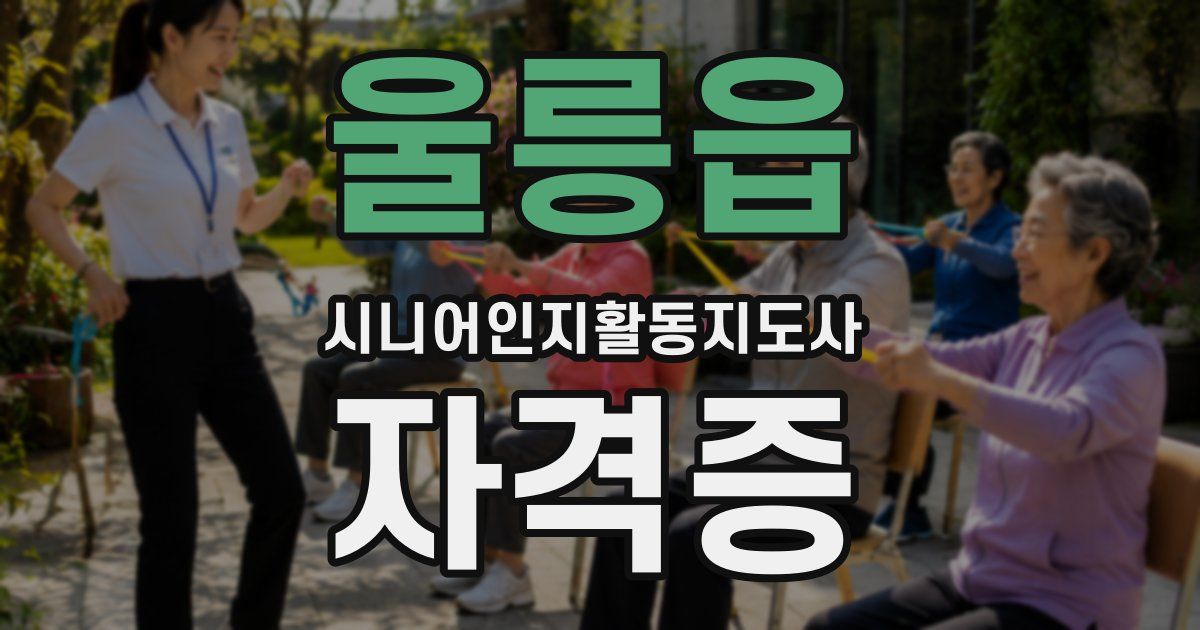 울릉읍 시니어인지활동지도사 자격증