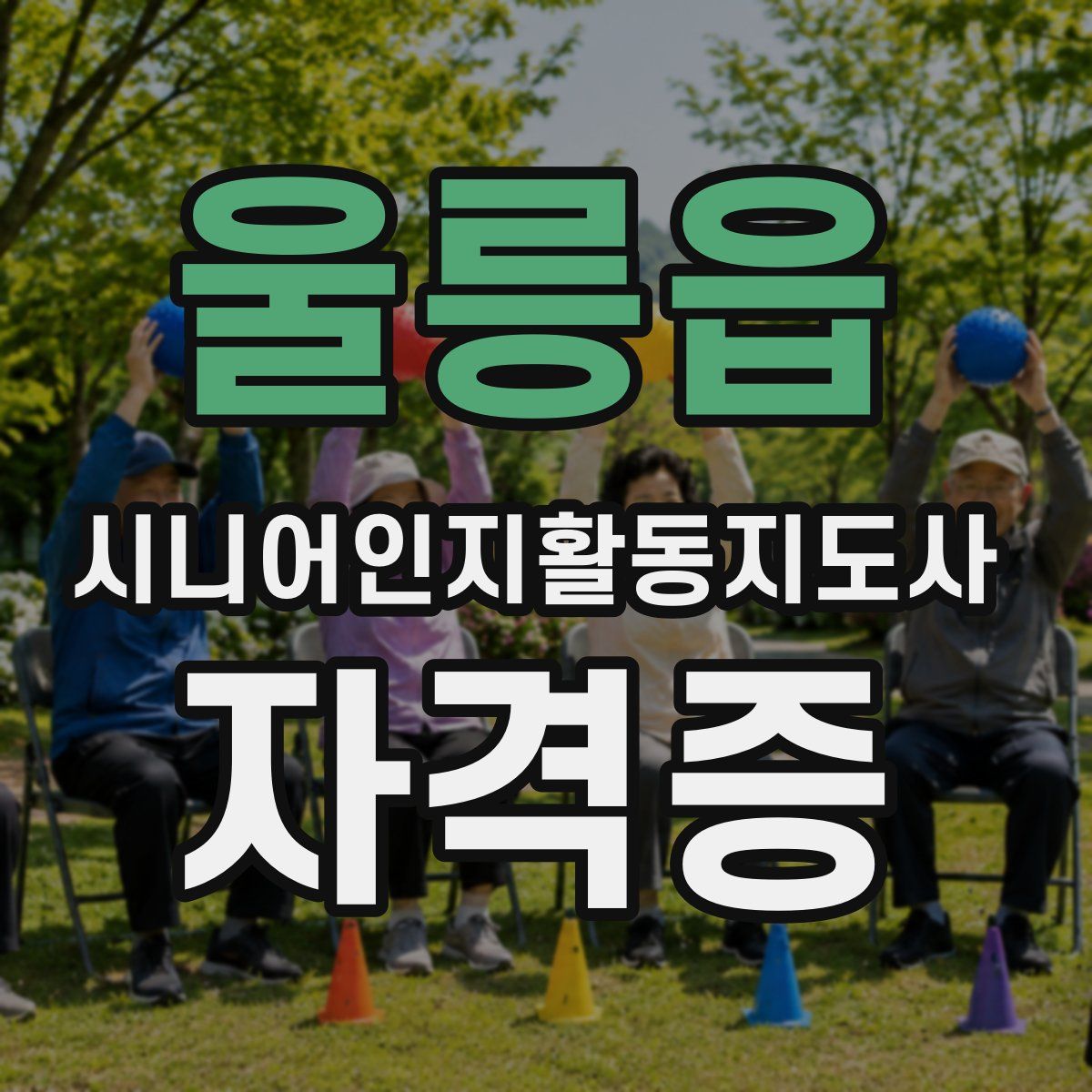 울릉읍 시니어인지활동지도사 자격증