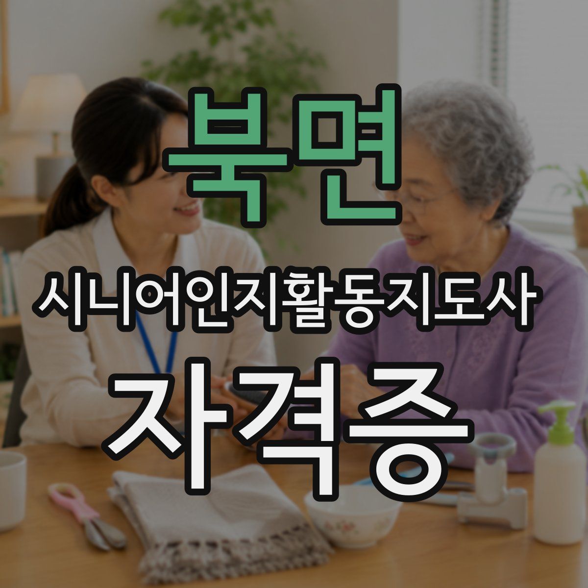 북면 시니어인지활동지도사 자격증