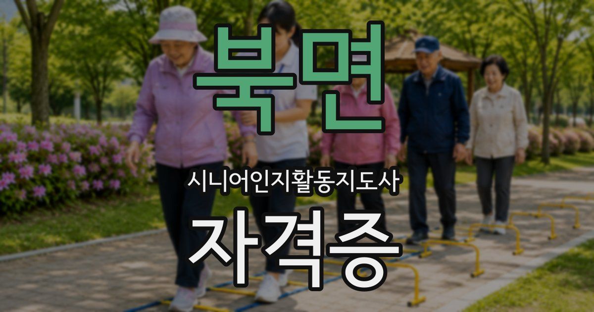 북면 시니어인지활동지도사 자격증