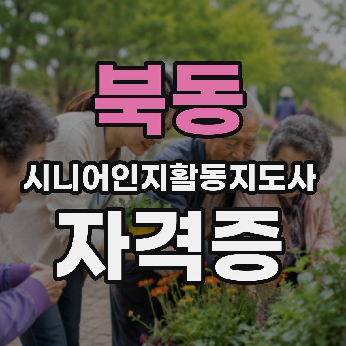 북동 시니어인지활동지도사 자격증