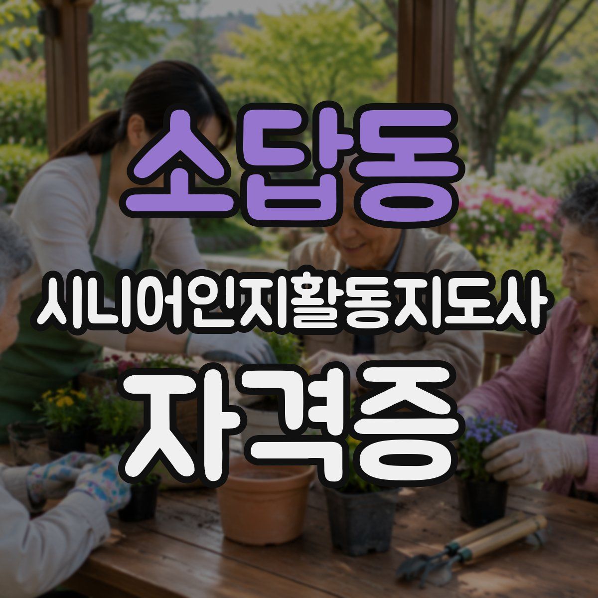 소답동 시니어인지활동지도사 자격증