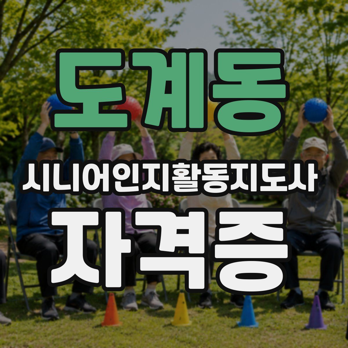 도계동 시니어인지활동지도사 자격증