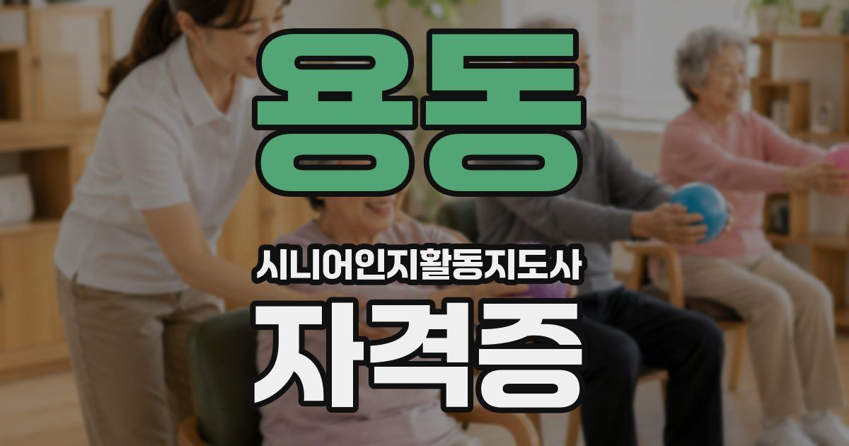 용동 시니어인지활동지도사 자격증