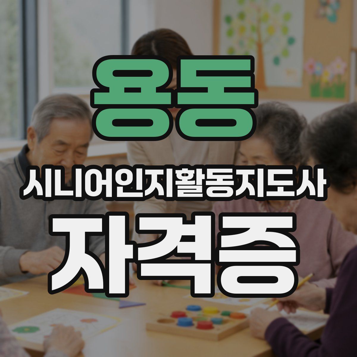 용동 시니어인지활동지도사 자격증