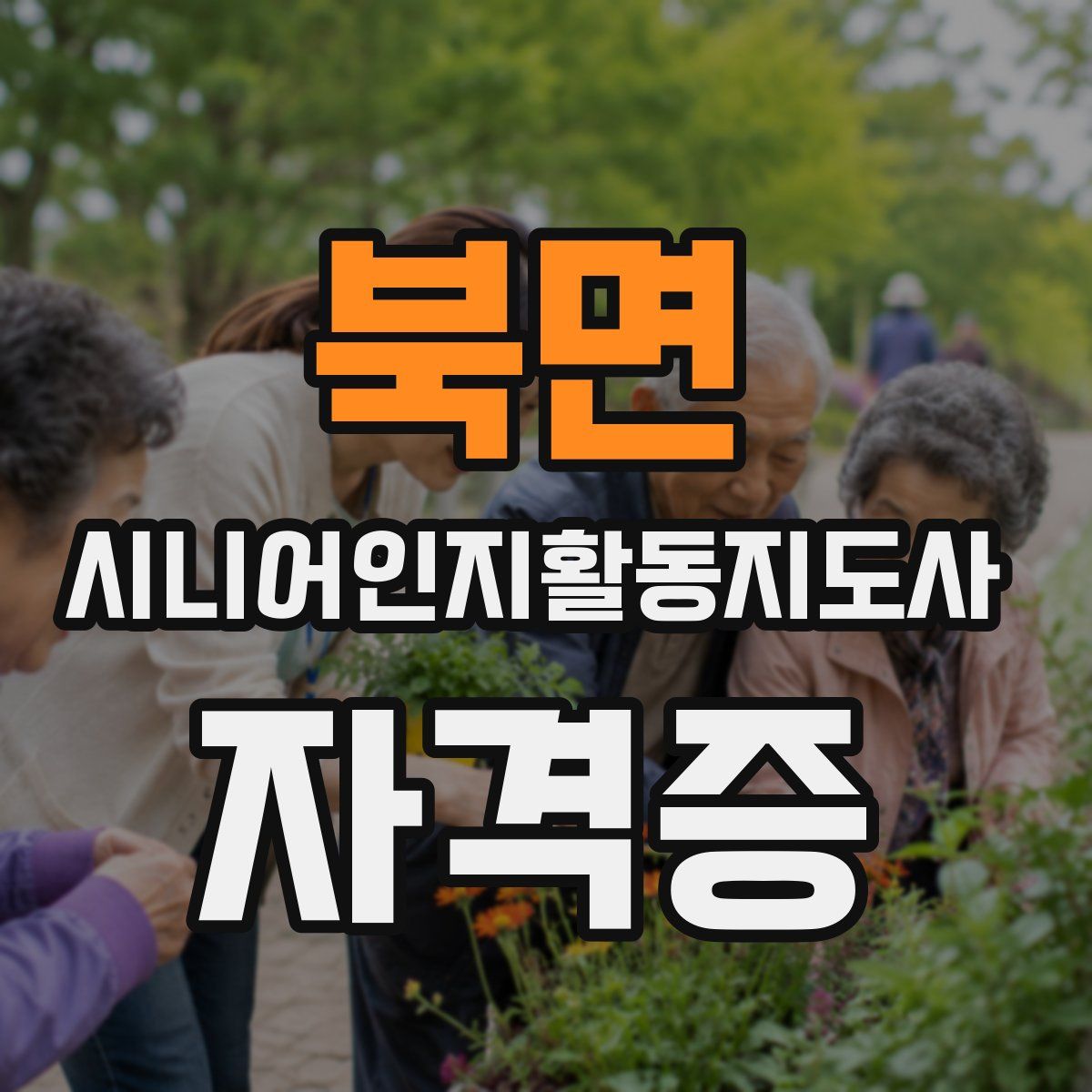 북면 시니어인지활동지도사 자격증