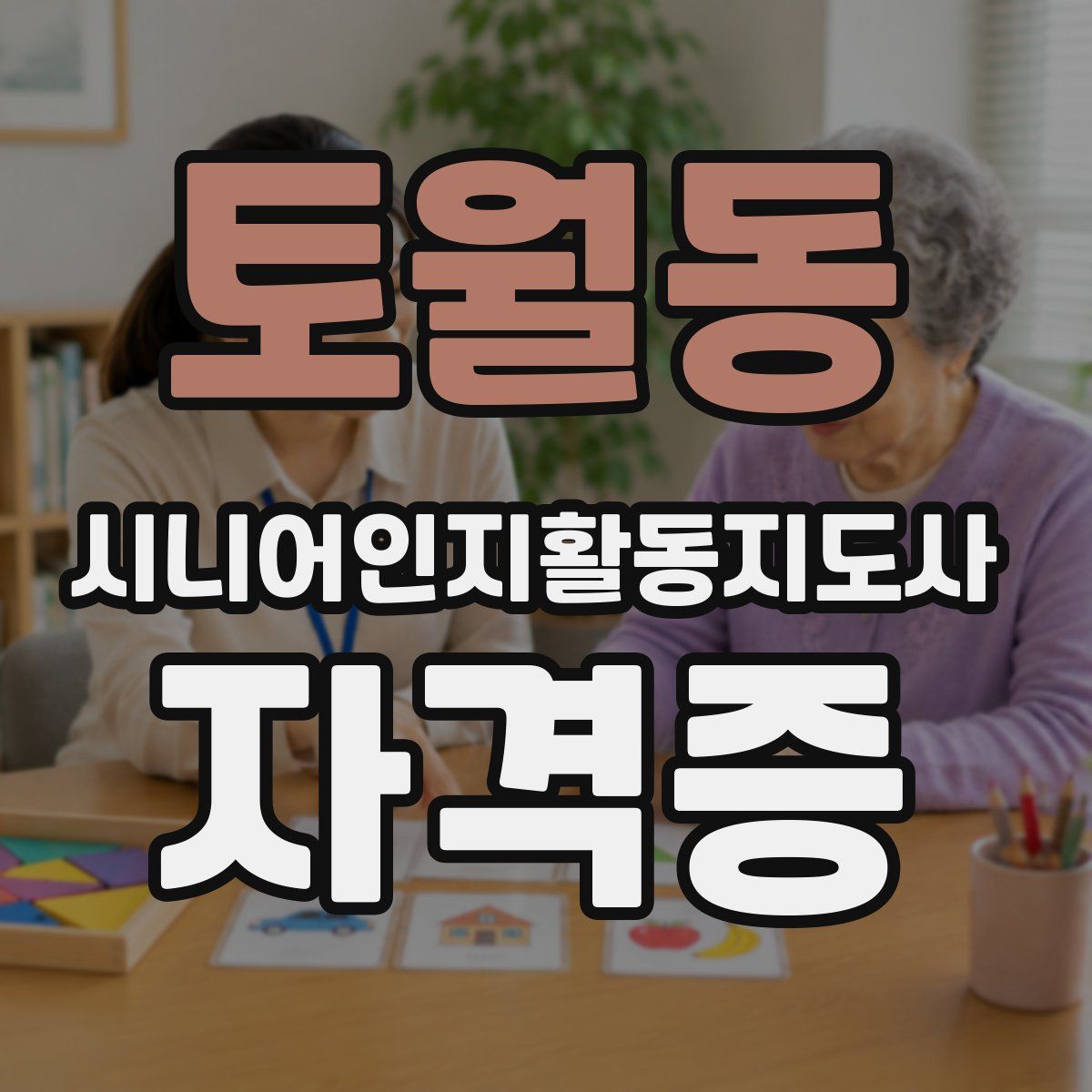 토월동 시니어인지활동지도사 자격증
