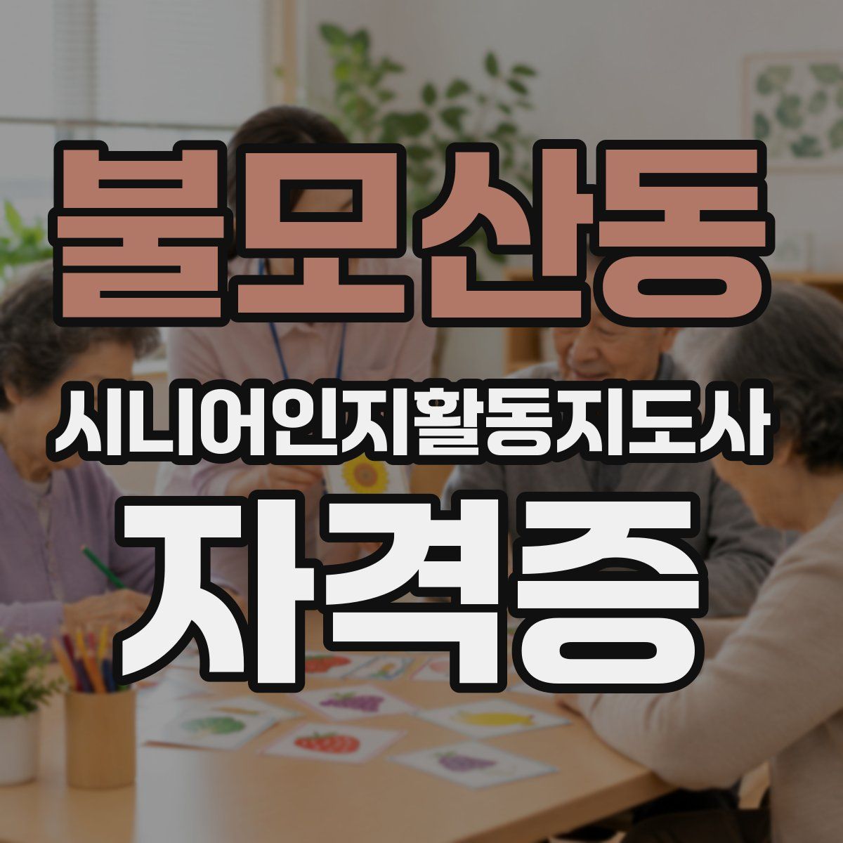 불모산동 시니어인지활동지도사 자격증